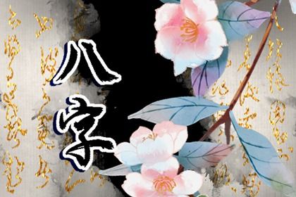 数字化排盘时代